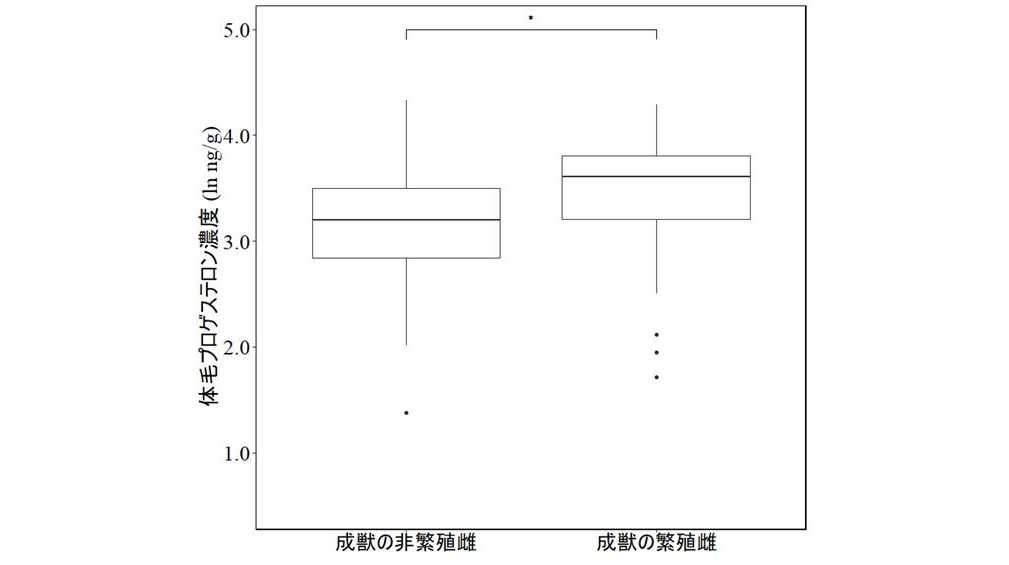 日本獣医生命科学大学