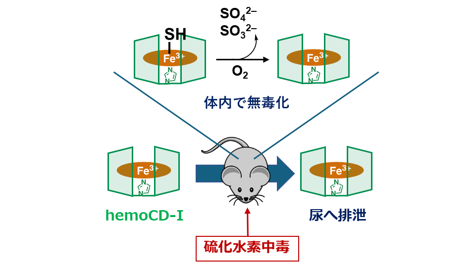 同志社大学