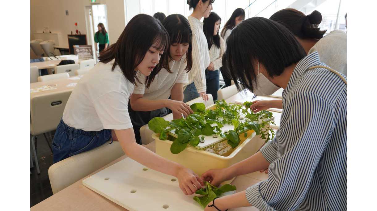 学校法人藍野大学