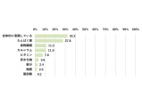 ビオフェルミン製薬株式会社