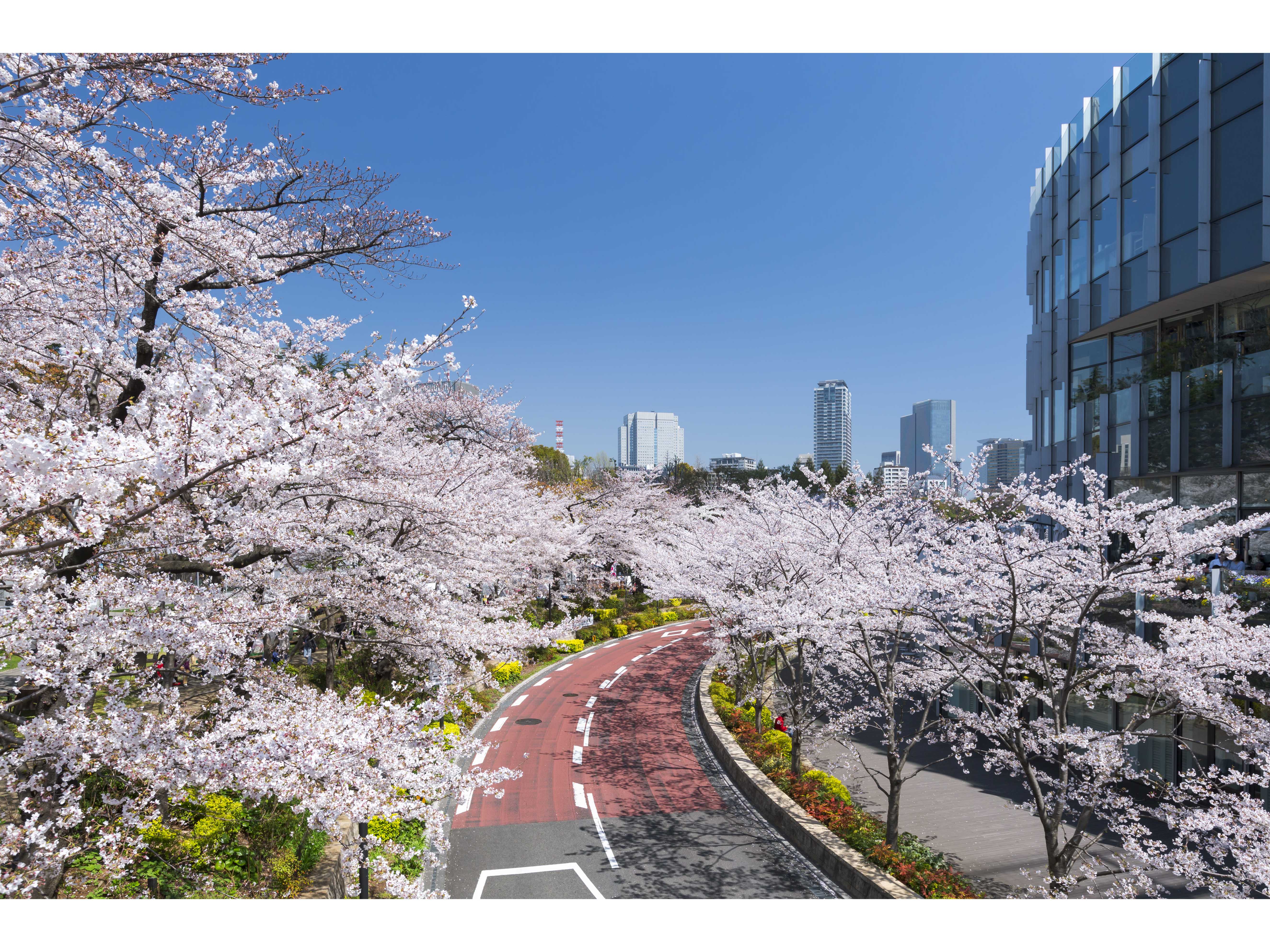 東京ミッドタウンマネジメント株式会社