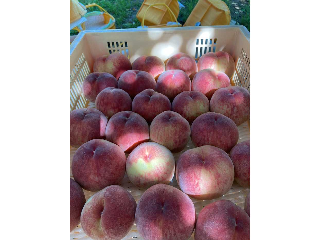 株式会社東和エンジニアリング