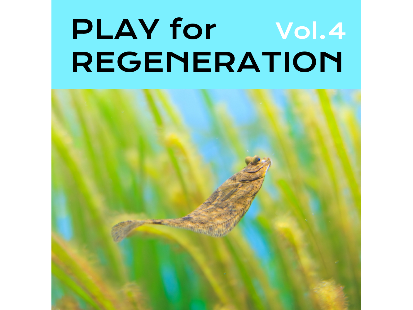 ヤマハ発動機株式会社