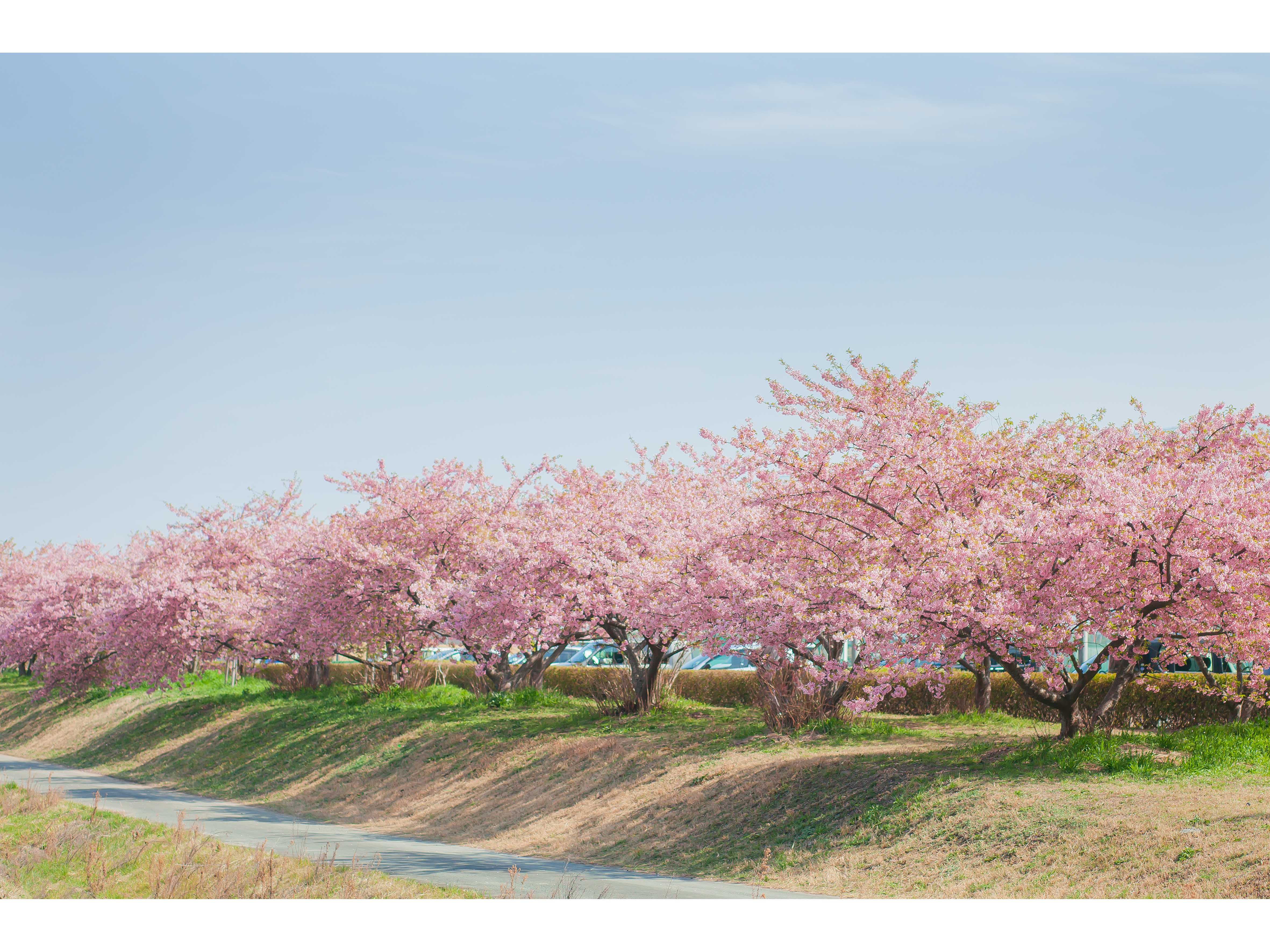 ヤマハ発動機株式会社