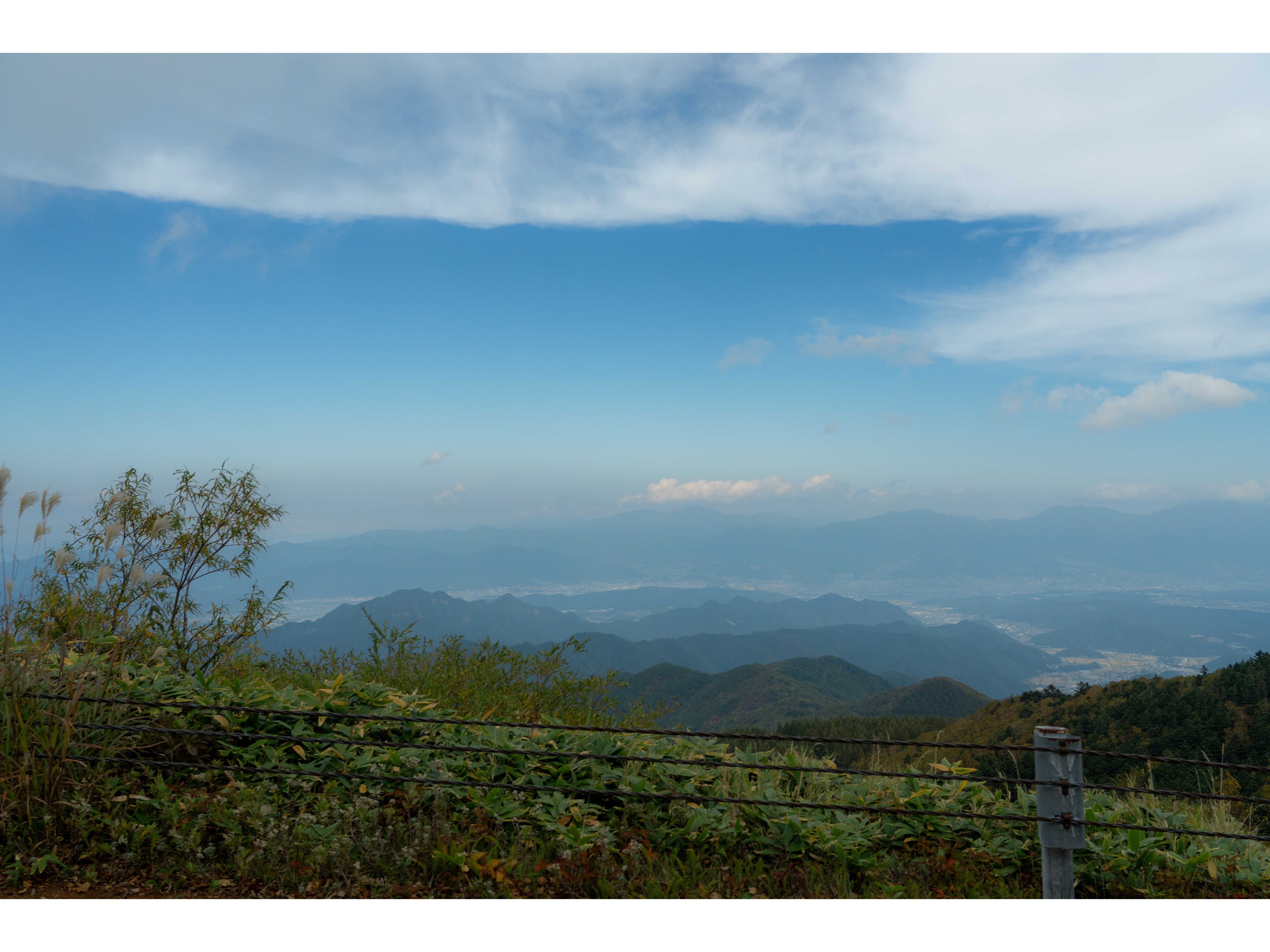 ヤマハ発動機販売株式会社