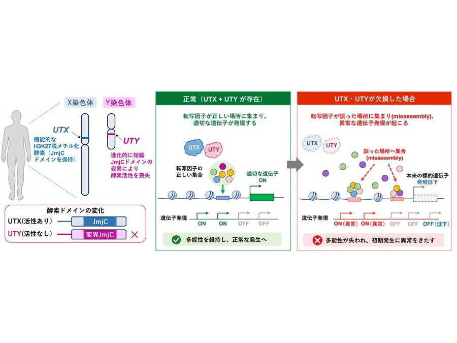横浜市立大学