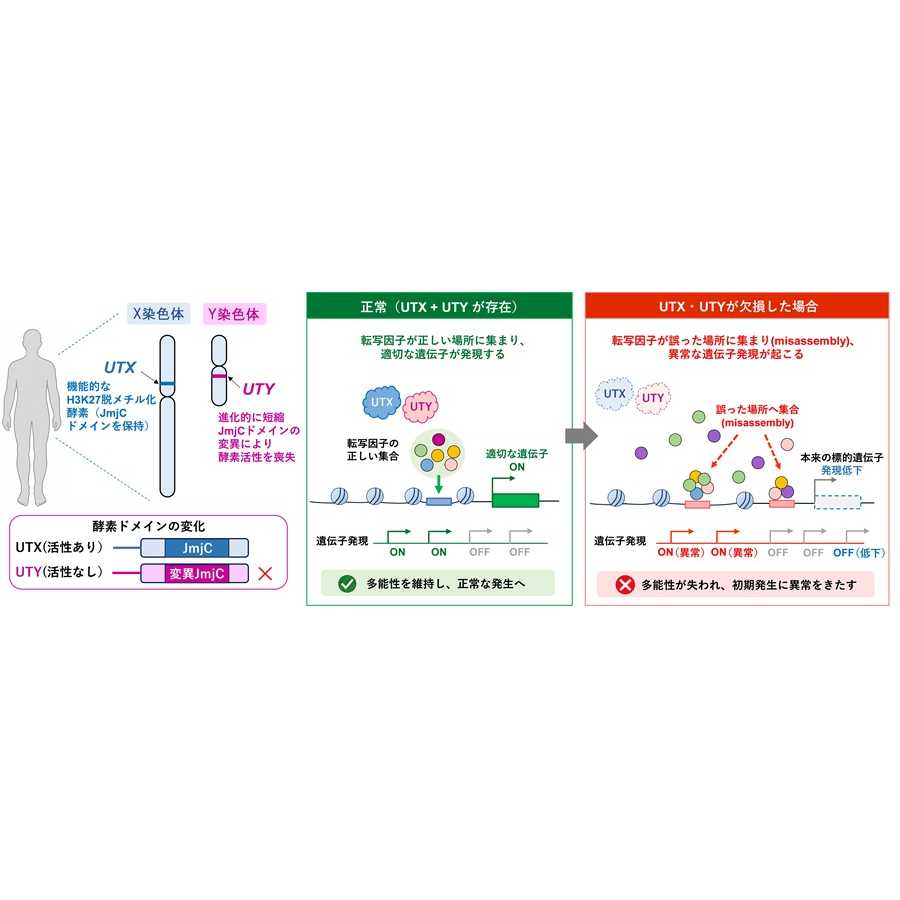 横浜市立大学