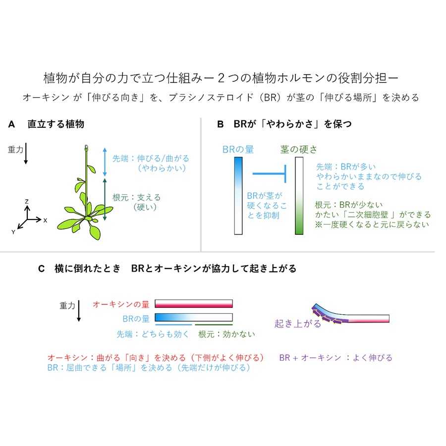 横浜市立大学