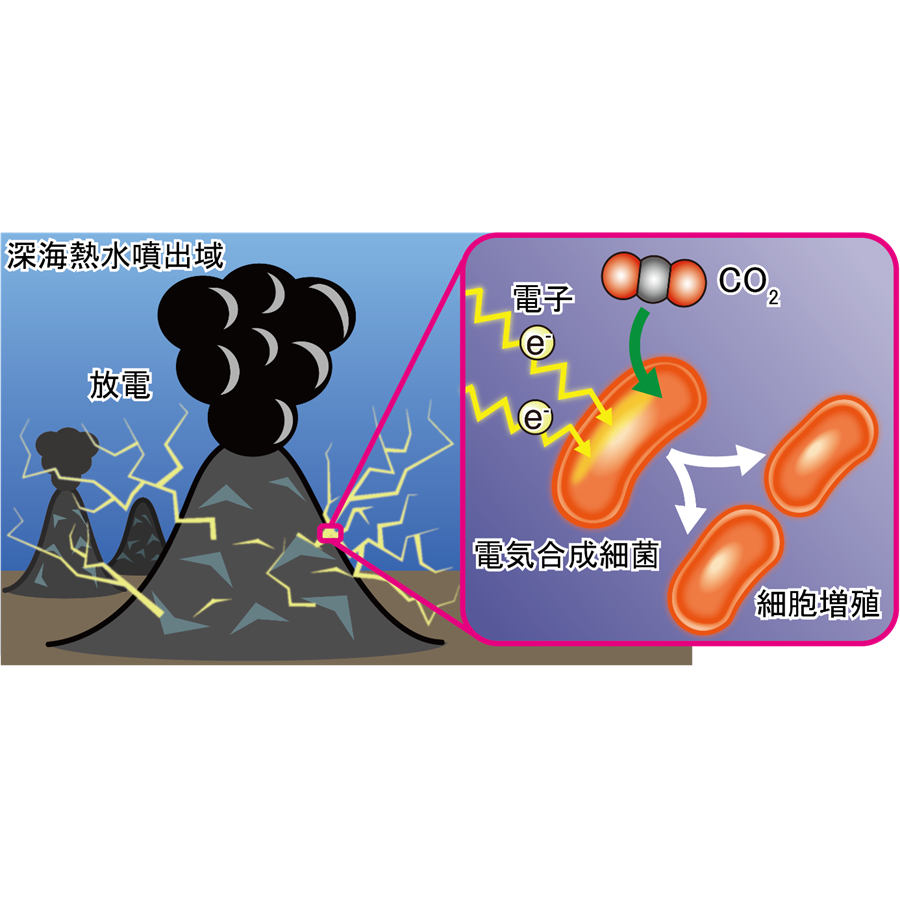 横浜市立大学