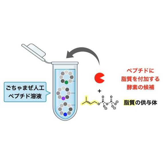 リリース
