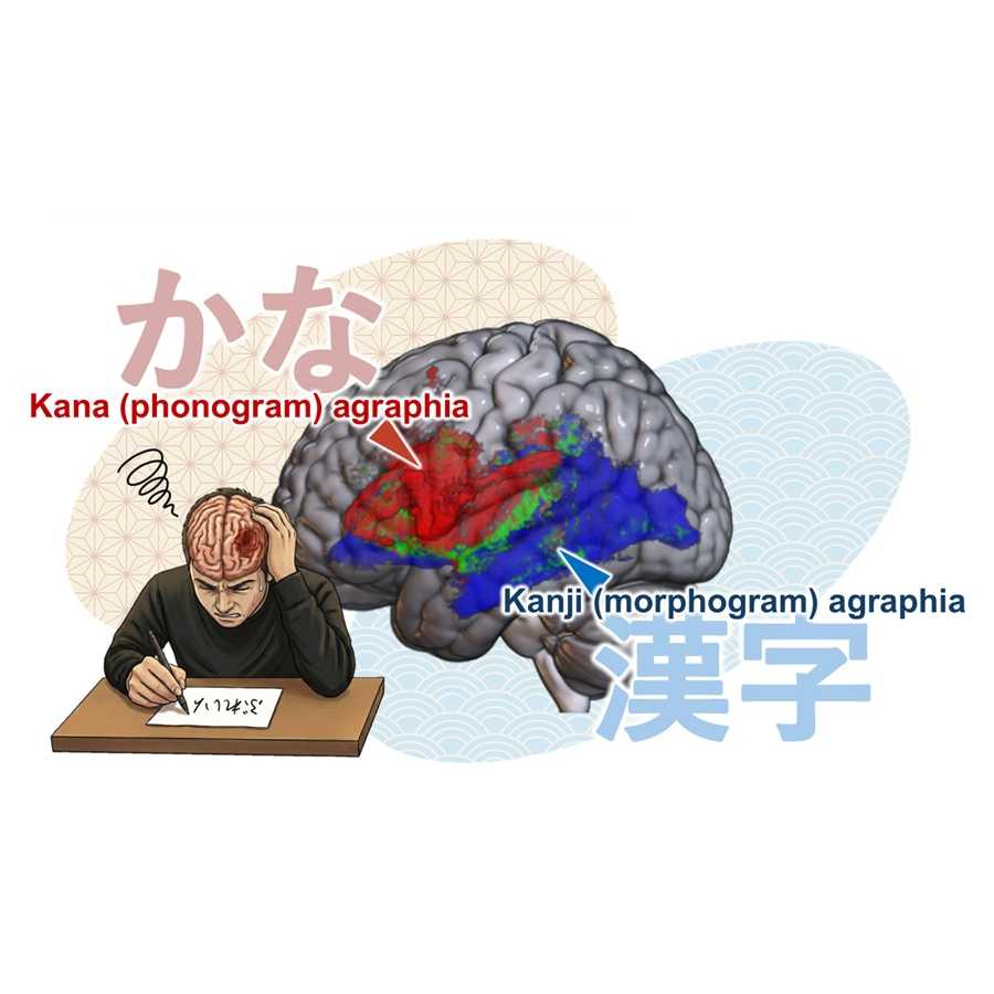 横浜市立大学