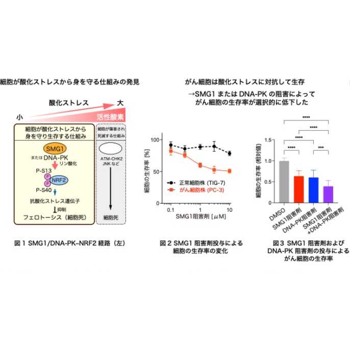 横浜市立大学