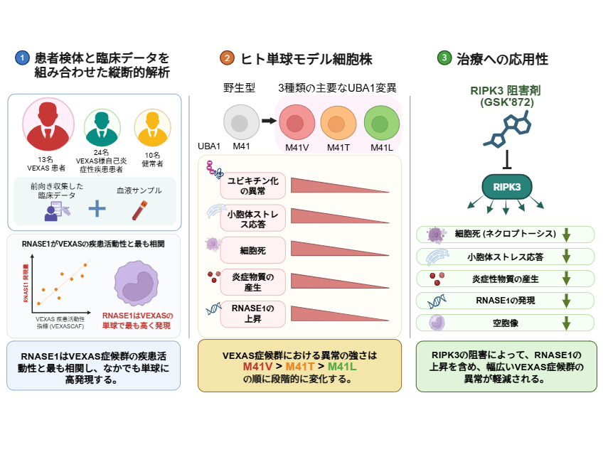 横浜市立大学