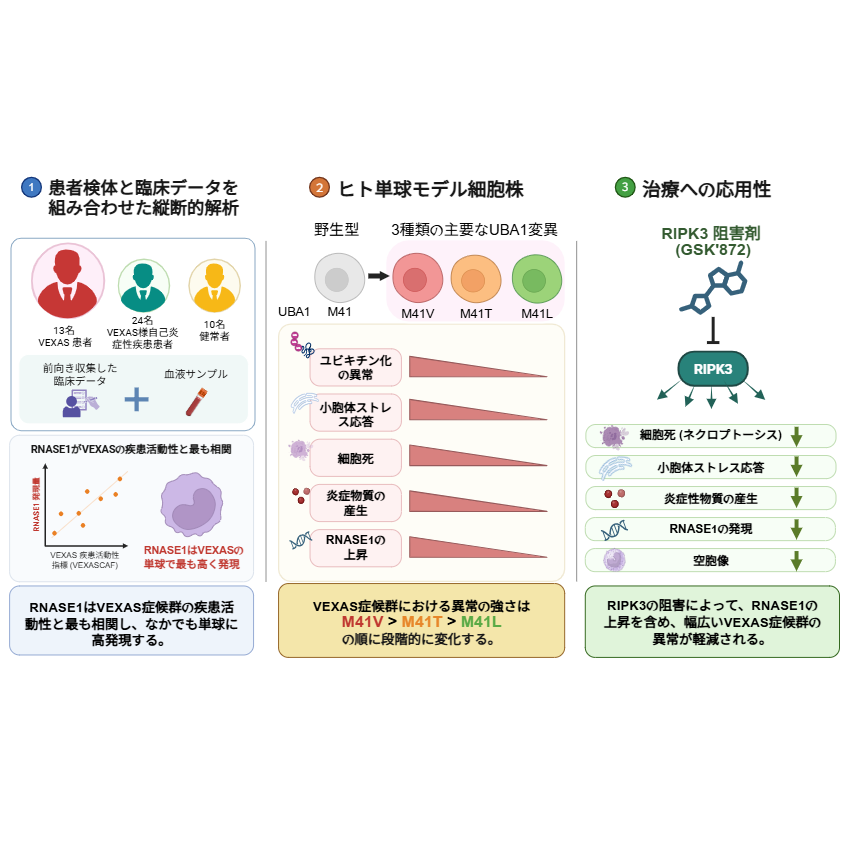 横浜市立大学
