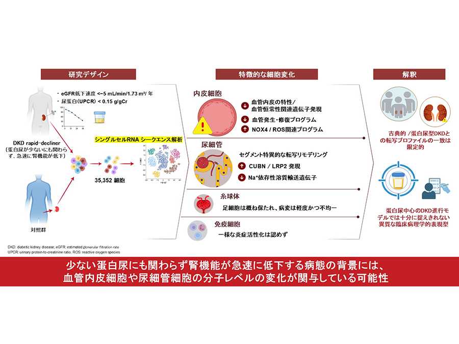 横浜市立大学