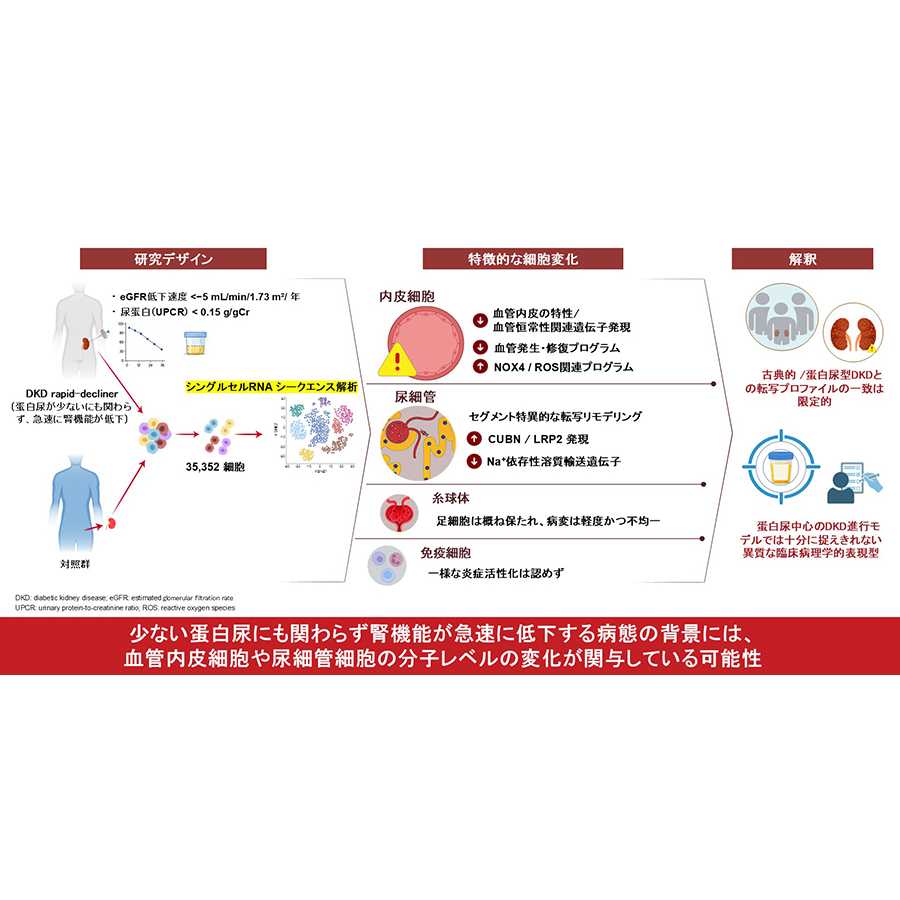 横浜市立大学