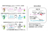 横浜市立大学