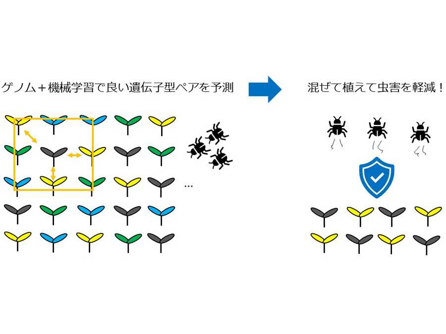 横浜市立大学