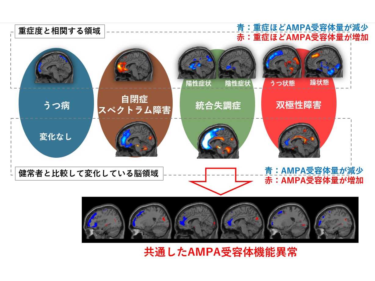 横浜市立大学