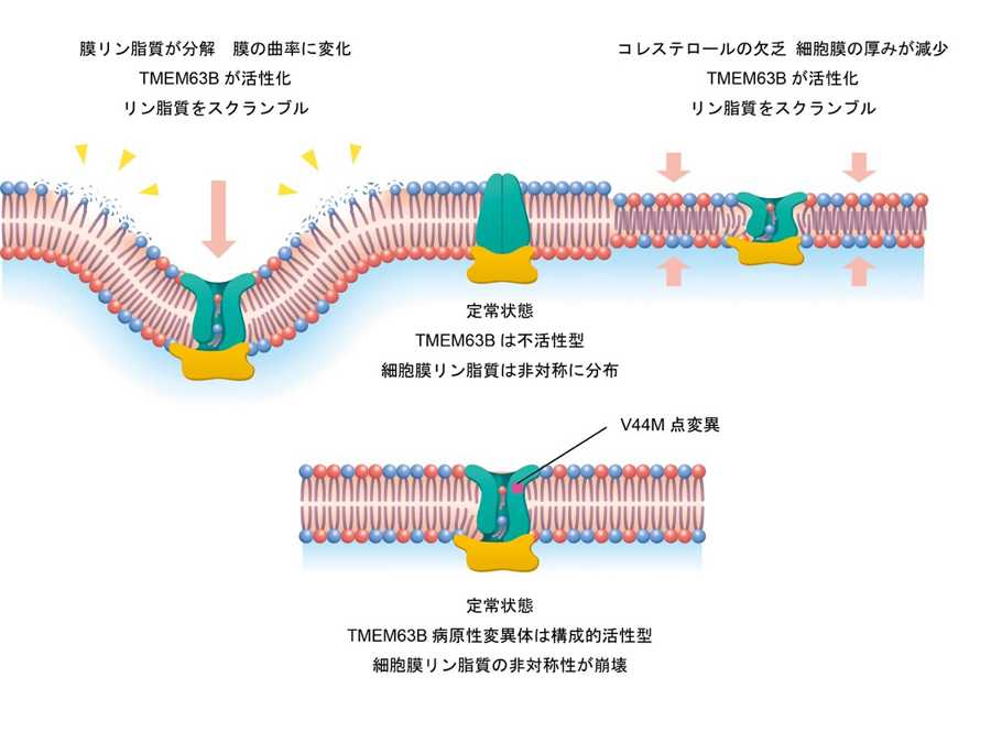 横浜市立大学