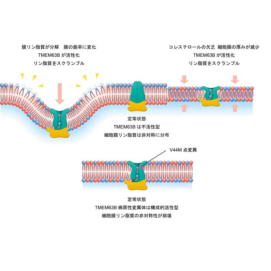 横浜市立大学