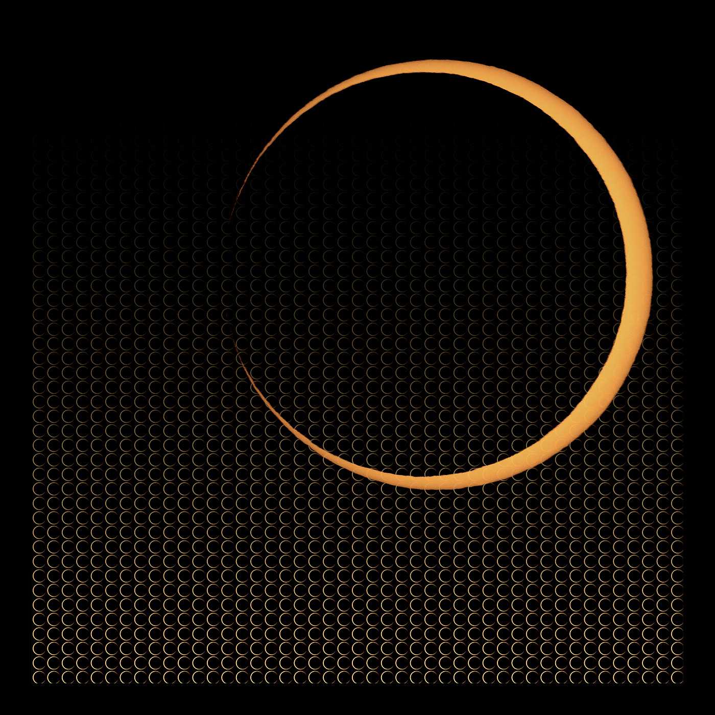 有限会社ジオコーポレーション