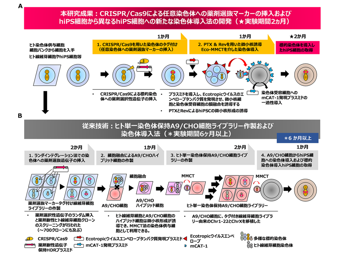 東京薬科大学