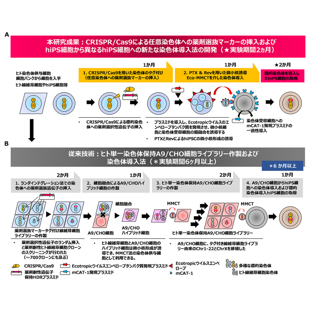 東京薬科大学