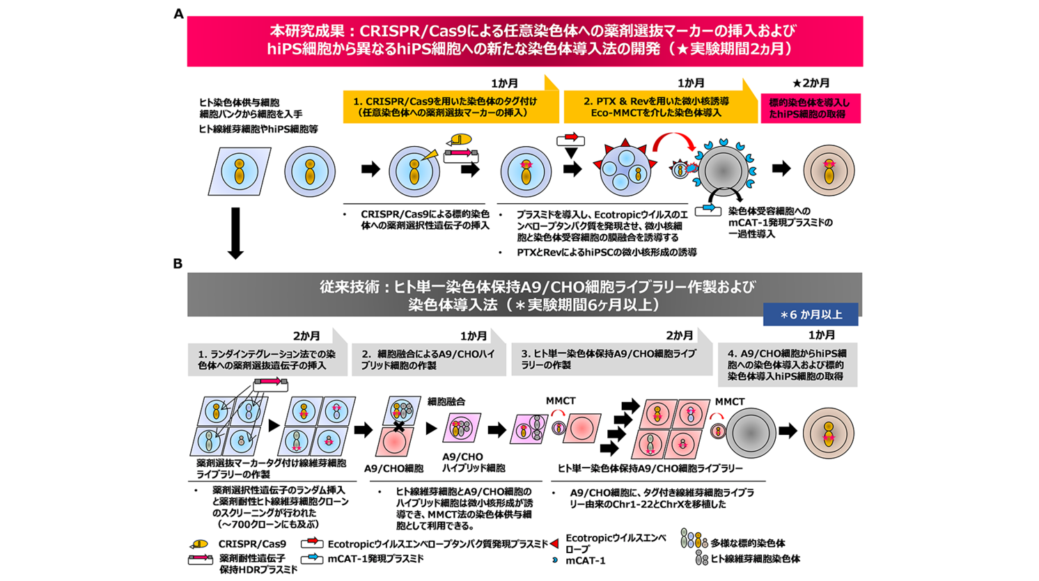 東京薬科大学