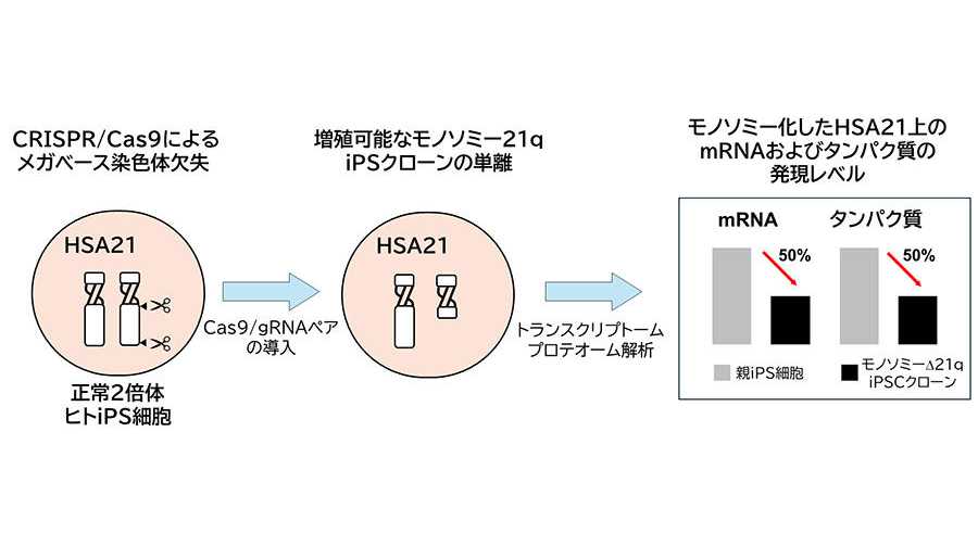 東京薬科大学