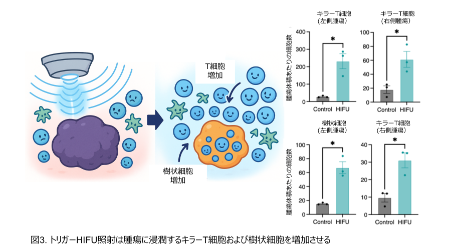 東京薬科大学