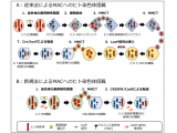 東京薬科大学