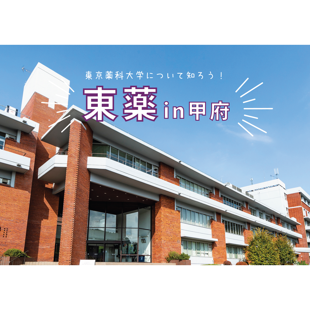 東京薬科大学