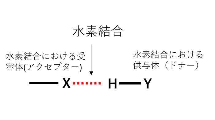 東京薬科大学