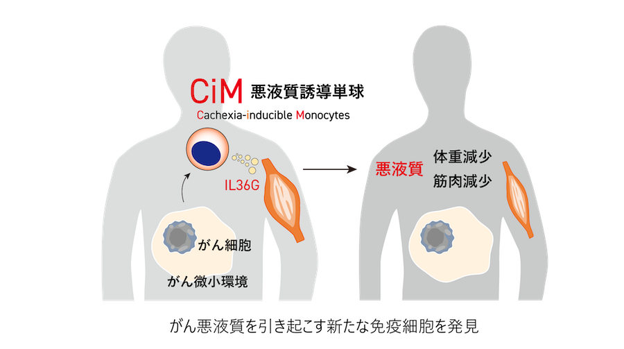 東京薬科大学