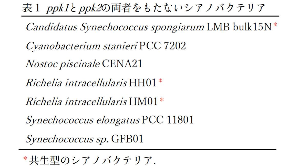 東京薬科大学