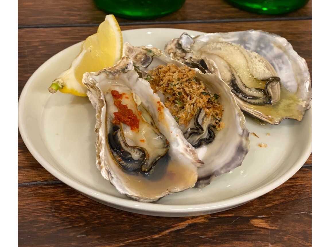 大阪樟蔭女子大学