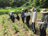 大阪樟蔭女子大学