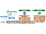 ネットワンシステムズ株式会社