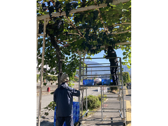 （一社）塩尻市観光協会