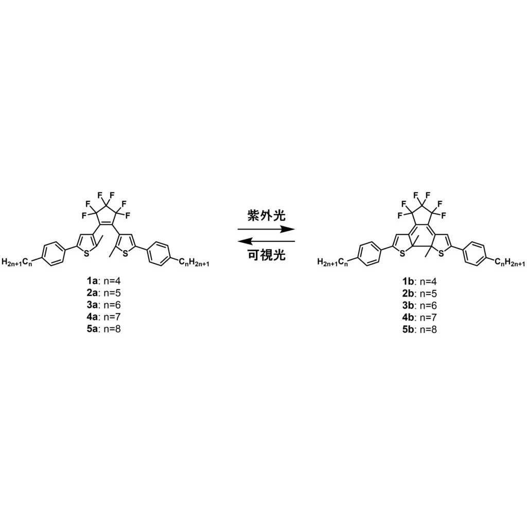 立教大学