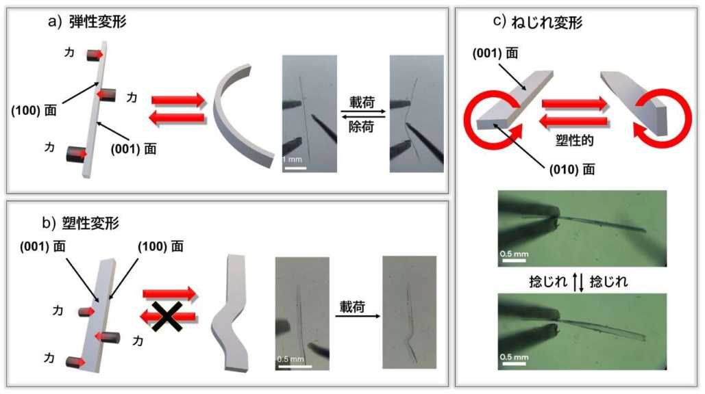 立教大学