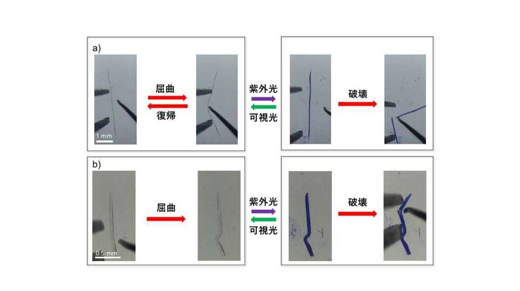 立教大学
