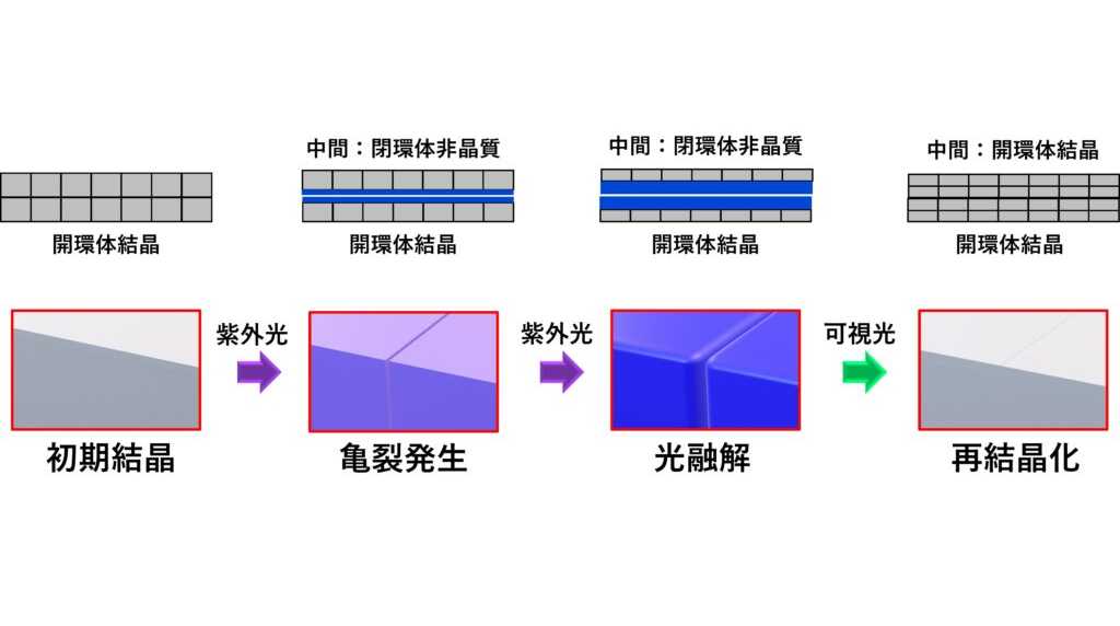 立教大学