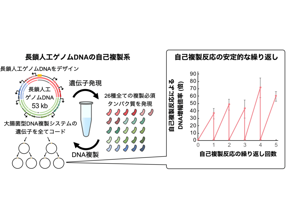 立教大学