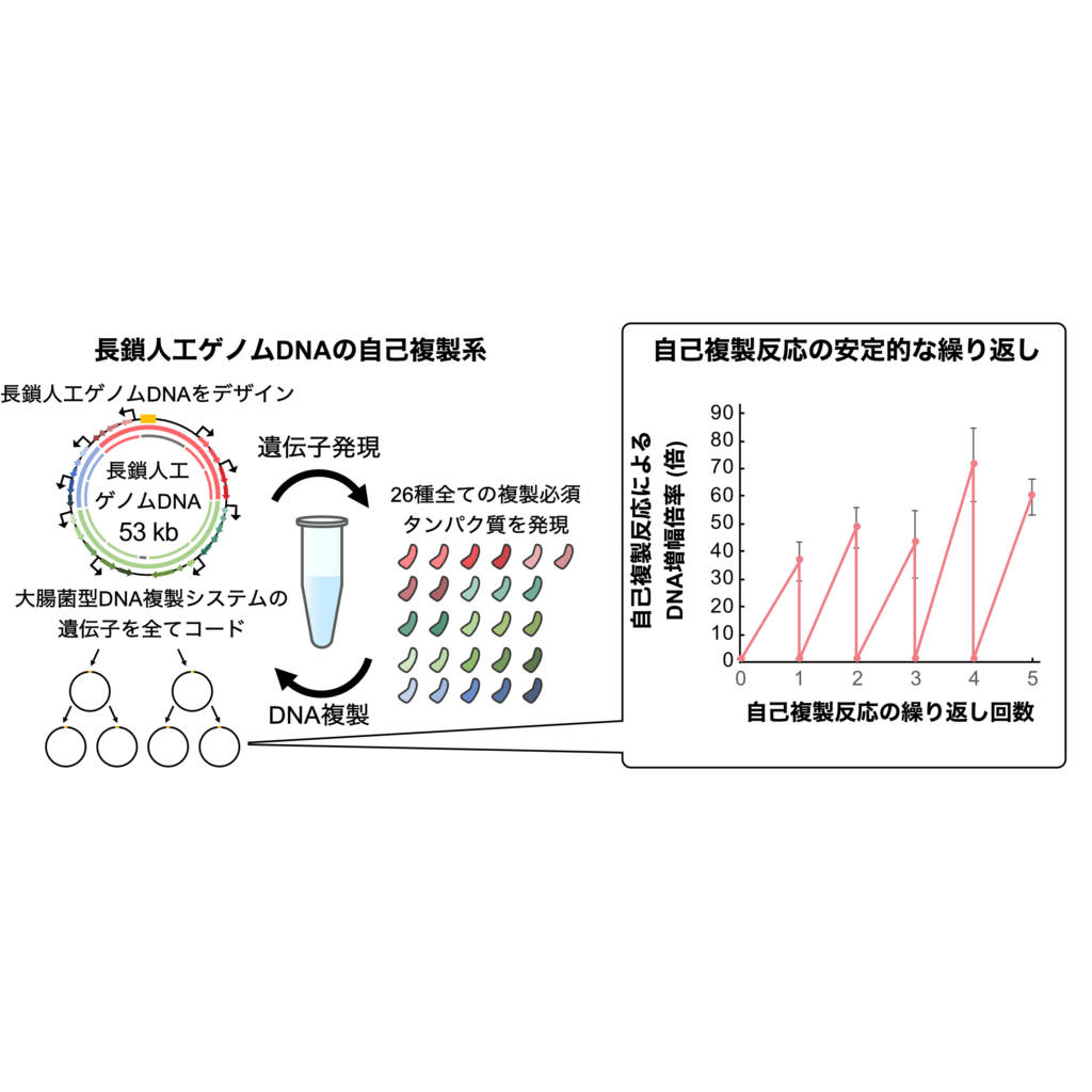 立教大学