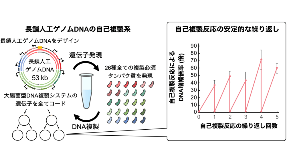 立教大学