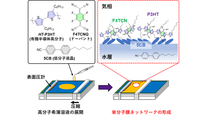 立教大学