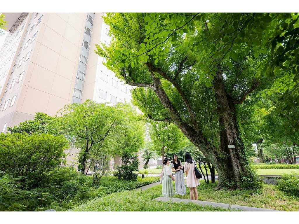 日本女子大学