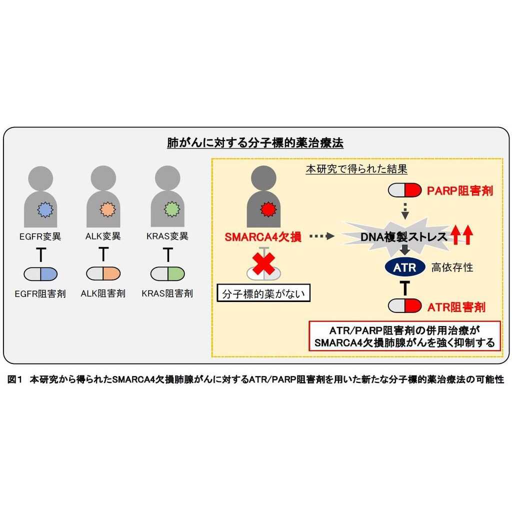 東京医科大学